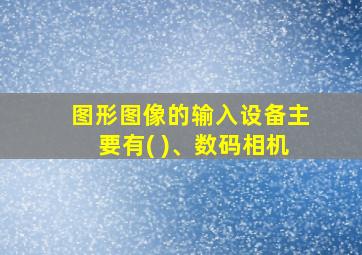 图形图像的输入设备主要有( )、数码相机